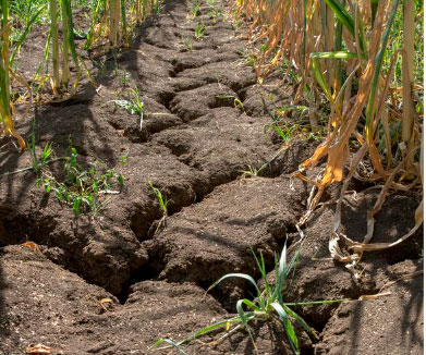 suelo arcillososy expansivo