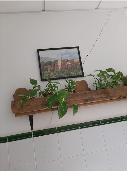 grioeta en pared de despacho